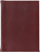 Zum Vergrößern anklicken (361 KB) Ur-Drache (Außenansicht)