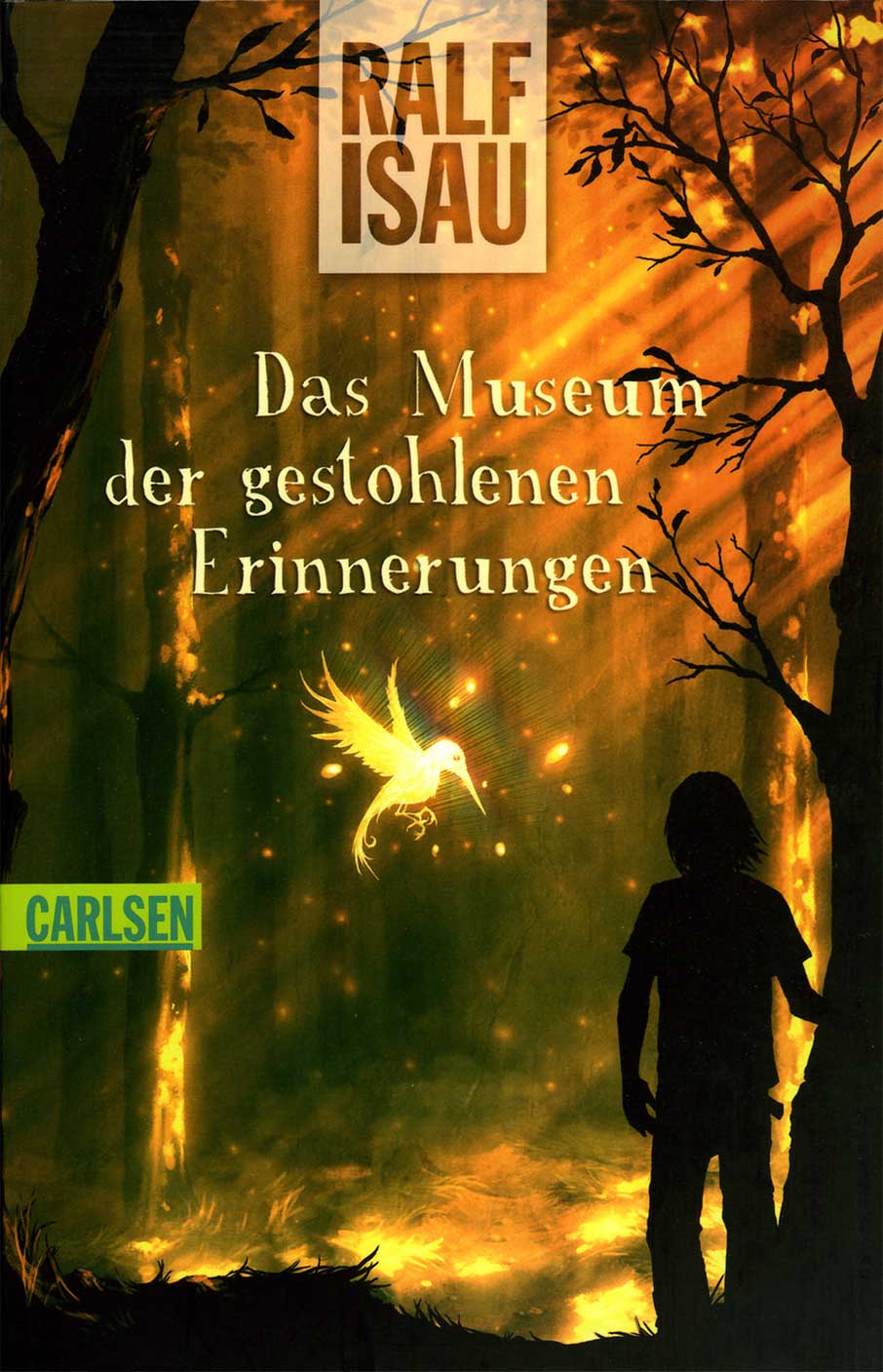 Das Museum der gestohlenen Erinnerungen (Carlsen-Taschenbuch 2010)
